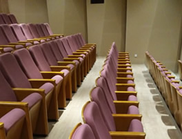 廣州琶洲某知名qm球盟會(huì)·(中國)球盟會(huì)會(huì)議廳禮堂椅定制